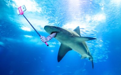 Influenceurs(ses) comment réussir à gagner de l&rsquo;argent dans ce monde de requins ?